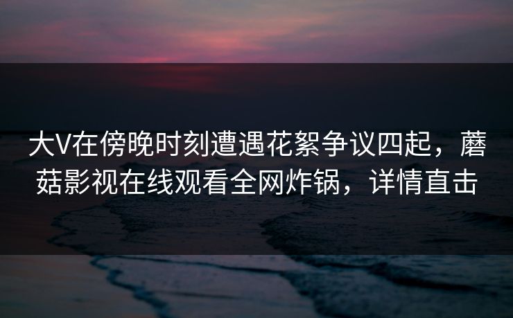 大V在傍晚时刻遭遇花絮争议四起，蘑菇影视在线观看全网炸锅，详情直击